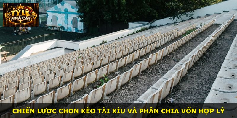 Chiến lược chọn kèo tài xỉu và phân chia vốn hợp lý