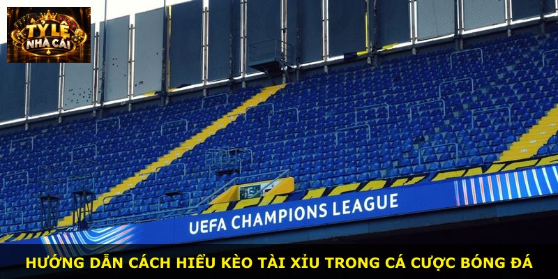 Hướng dẫn cách hiểu kèo tài xỉu trong cá cược bóng đá