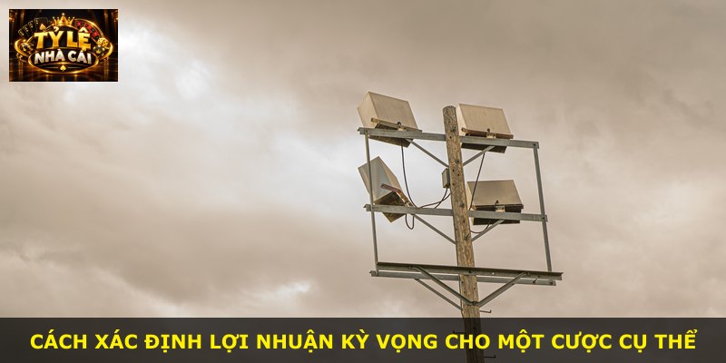 Cách xác định lợi nhuận kỳ vọng cho một cược cụ thể