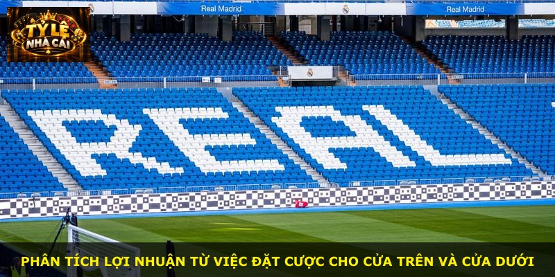 Phân tích lợi nhuận từ việc đặt cược cho cửa trên và cửa dưới