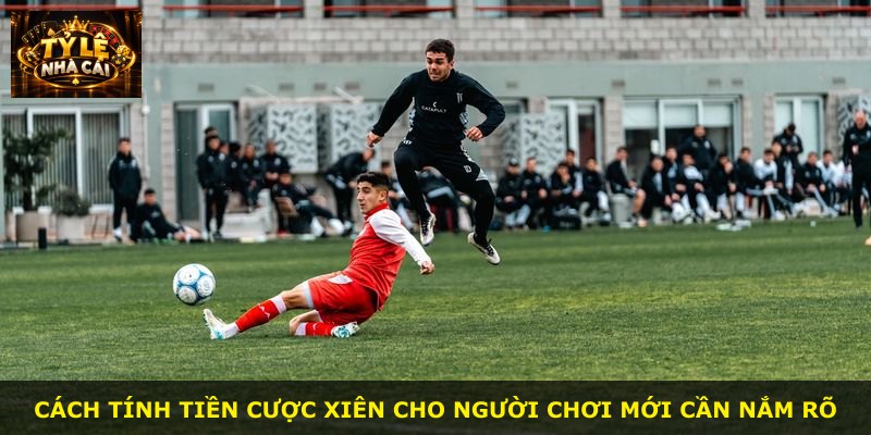 Cách tính tiền cược xiên cho người chơi mới cần nắm rõ