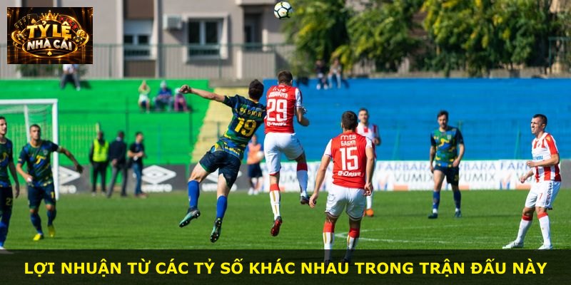 Lợi nhuận từ các tỷ số khác nhau trong trận đấu này