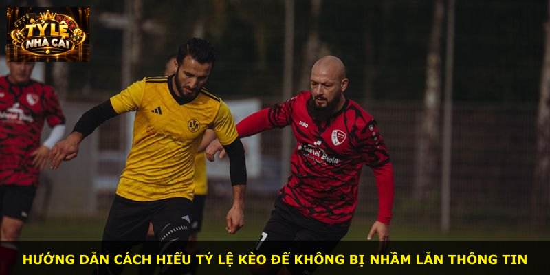 Hướng dẫn cách hiểu tỷ lệ kèo để không bị nhầm lẫn thông tin