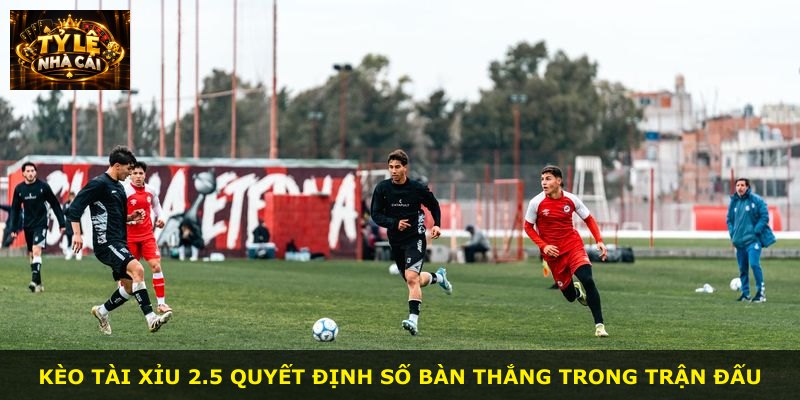 Kèo tài xỉu 2.5 quyết định số bàn thắng trong trận đấu