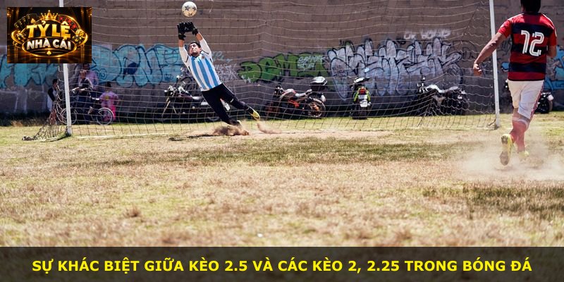 Sự khác biệt giữa kèo 2.5 và các kèo 2, 2.25 trong bóng đá