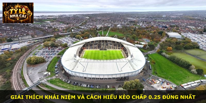 Giải thích khái niệm và cách hiểu kèo chấp 0.25 đúng nhất