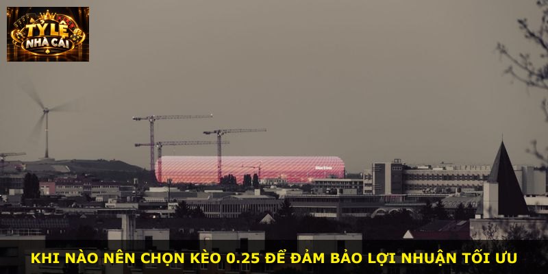 Khi nào nên chọn kèo 0.25 để đảm bảo lợi nhuận tối ưu