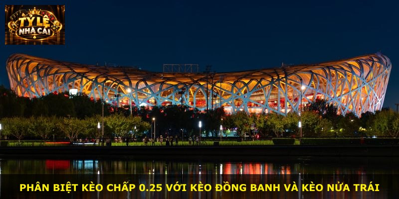 Phân biệt kèo chấp 0.25 với kèo đồng banh và kèo nửa trái