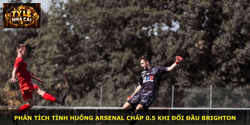 Phân tích tình huống Arsenal chấp 0.5 khi đối đầu Brighton