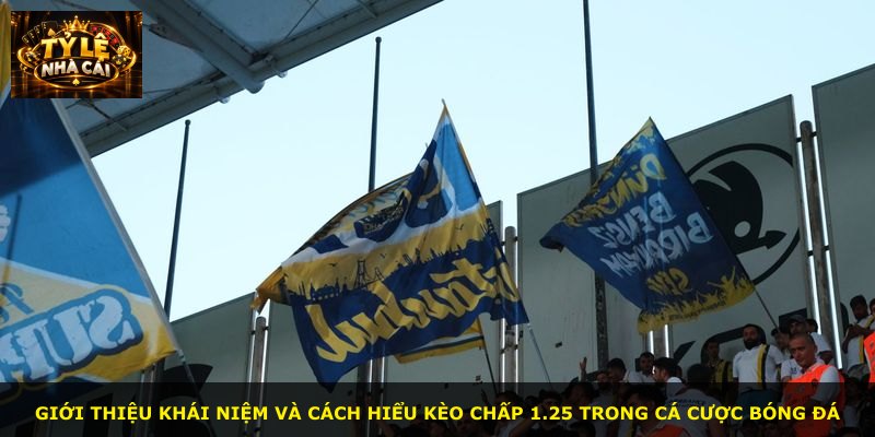 Giới thiệu khái niệm và cách hiểu kèo chấp 1.25 trong cá cược bóng đá