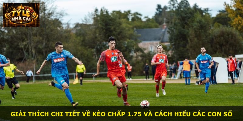 Giải thích chi tiết về kèo chấp 1.75 và cách hiểu các con số
