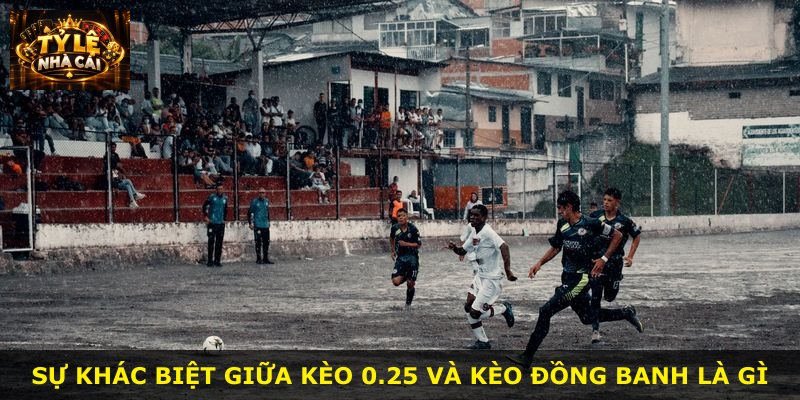 Sự khác biệt giữa kèo 0.25 và kèo đồng banh là gì