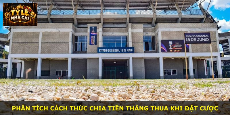 Phân tích cách thức chia tiền thắng thua khi đặt cược