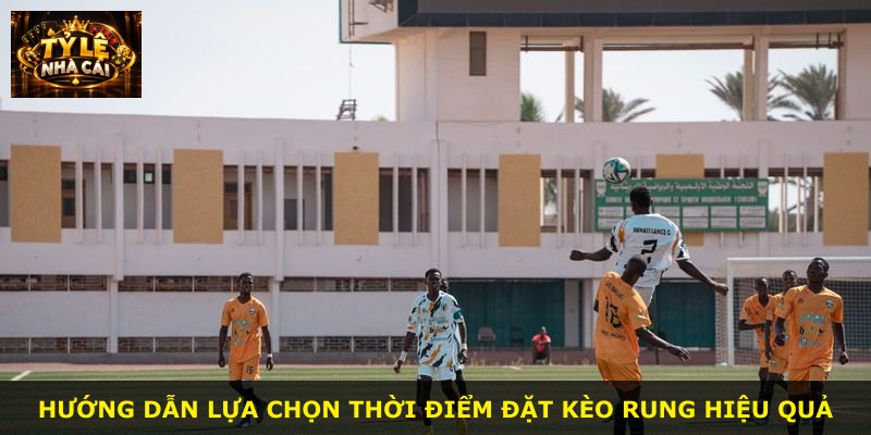 Hướng dẫn lựa chọn thời điểm đặt kèo rung hiệu quả