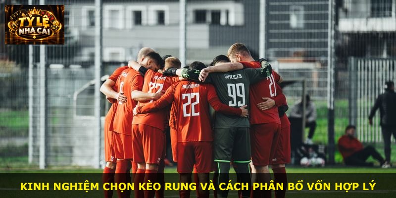 Kinh nghiệm chọn kèo rung và cách phân bổ vốn hợp lý