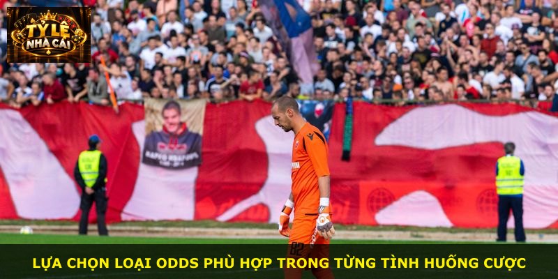 Lựa chọn loại odds phù hợp trong từng tình huống cược
