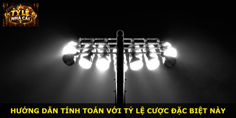 Hướng dẫn tính toán với tỷ lệ cược đặc biệt này