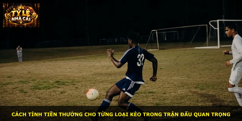 Cách tính tiền thưởng cho từng loại kèo trong trận đấu quan trọng
