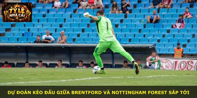 Dự đoán kèo đấu giữa Brentford và Nottingham Forest sắp tới