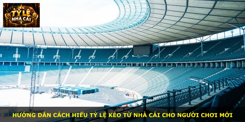 Hướng dẫn cách hiểu tỷ lệ kèo từ nhà cái cho người chơi mới