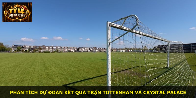 Phân tích dự đoán kết quả trận Tottenham và Crystal Palace