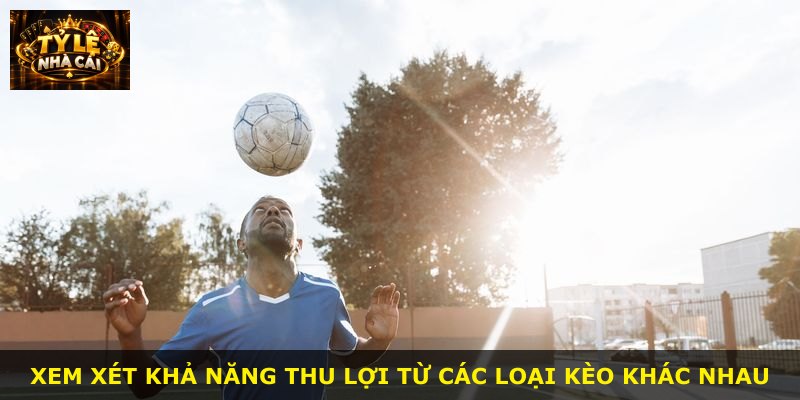 Xem xét khả năng thu lợi từ các loại kèo khác nhau