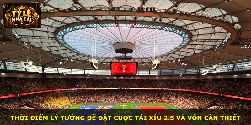 Thời điểm lý tưởng để đặt cược tài xỉu 2.5 và vốn cần thiết