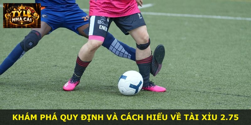 Khám phá quy định và cách hiểu về tài xỉu 2.75