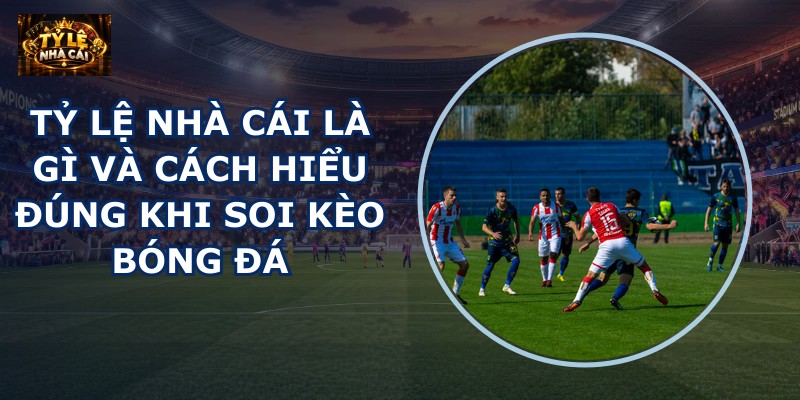 Tỷ lệ nhà cái là gì