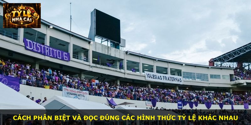Cách phân biệt và đọc đúng các hình thức tỷ lệ khác nhau