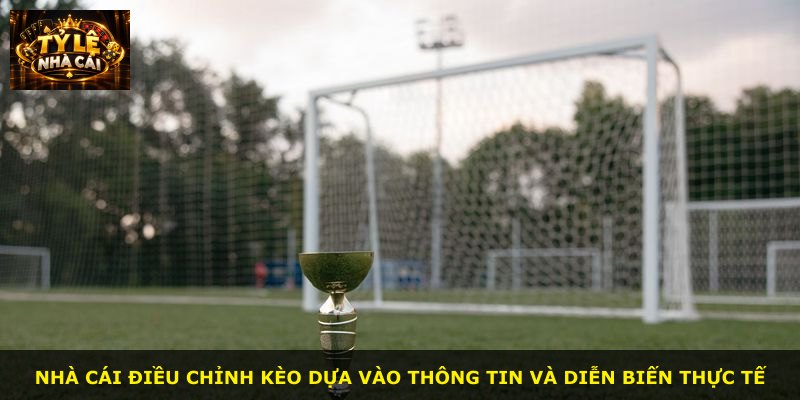 Nhà cái điều chỉnh kèo dựa vào thông tin và diễn biến thực tế
