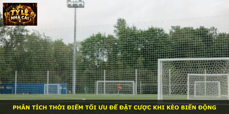 Phân tích thời điểm tối ưu để đặt cược khi kèo biến động